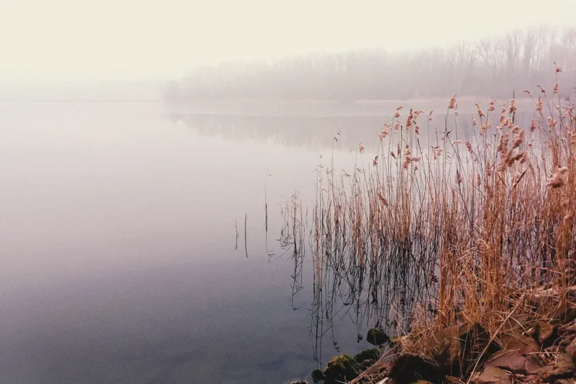 nebeliger see