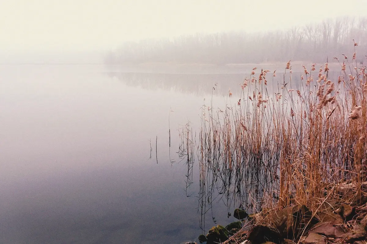 nebeliger see